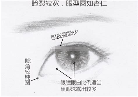 鳳眼特徵|桃花眼，丹鳳眼，瑞鳳眼，傳統眼型盤點